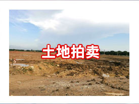 土地拍卖